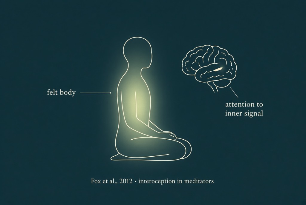 Diagram of interoception in meditators: felt body and attention to inner signal